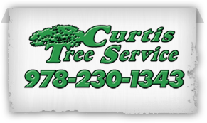 Curtis Tree Service logo