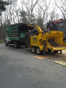 Tree Service in Blackstone, Massachusetts